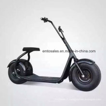 Nouveau scooter de mobilité 60V moto de sport électrique à haute collocation